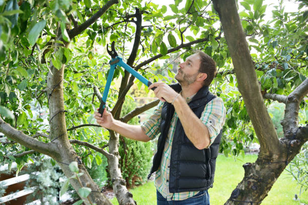 Best Tree and Shrub Care  in Montgomery, IN